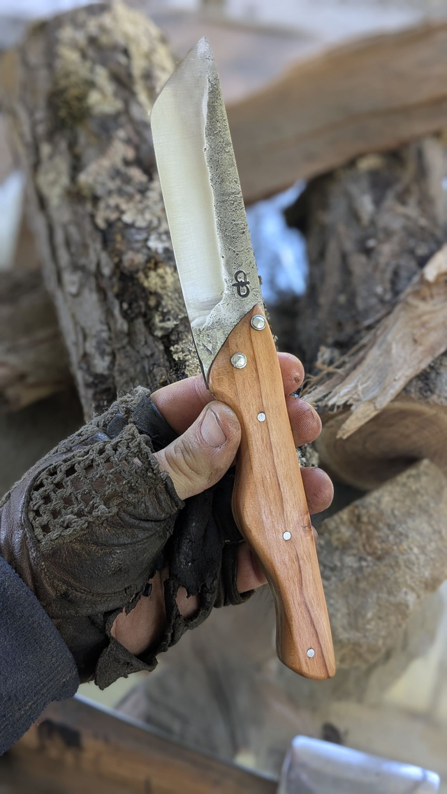 L&#039;original N°5