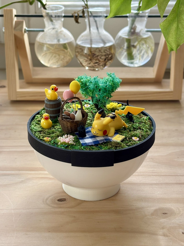 ☀️ Terrarium Pokémon - Édition Été - Pikachu