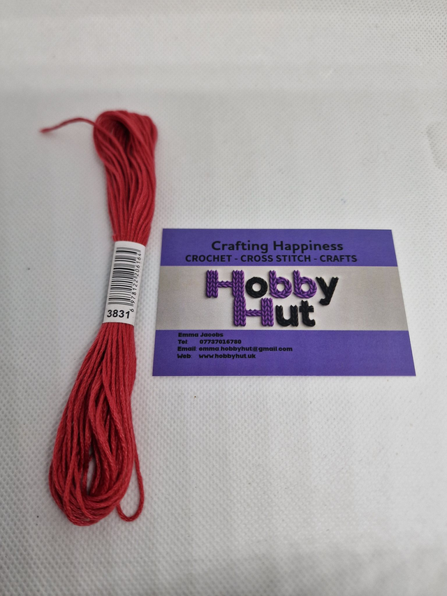 Embroidery Thread - 3831