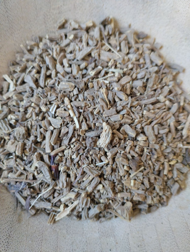 Racine de valériane (Valeriana officinalis)