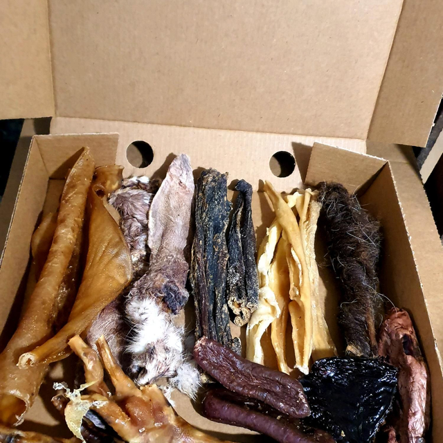 Smaller  Dog Treat Box🐶🎁🐶