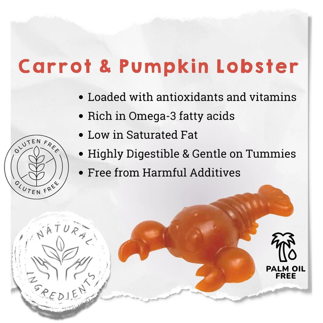 Carrot &amp; Pumpkin Lobster for dogs