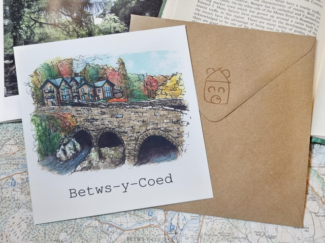 Betws-y-Coed Pont-y-Pair card 