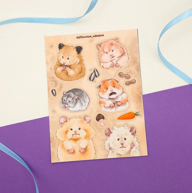 Chomiki | ZWIERZĘTA 