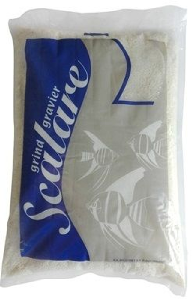 Scalare GRIND BEACH 10 Kg 