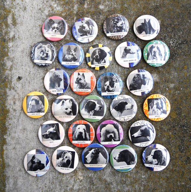 Badges 37mm de récup d'un dictionnaire Larousse de 1971 - Chiens
