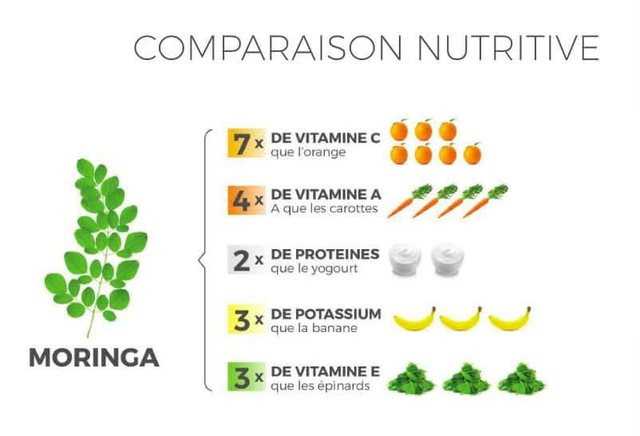 Gélules de Moringa 60 gélules ( 1 mois)
