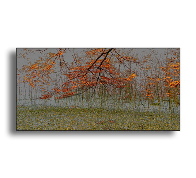 02 Nature - Grey Season, 2022.