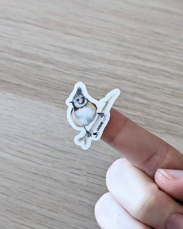 Ministicker Mésange huppée