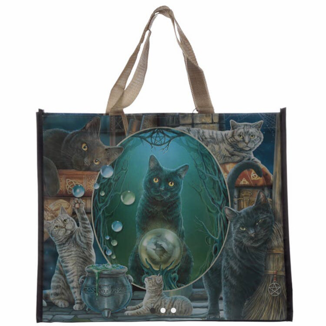 Kestokassi Taika-Kissa