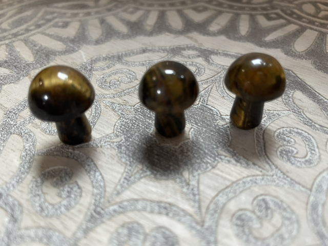 Tiger Eye Toadstool