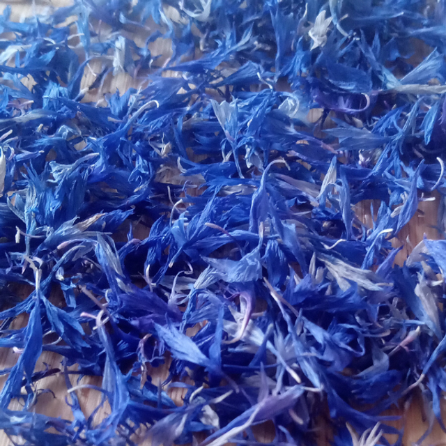 Pétales bleus