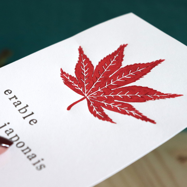 Linogravure A6 feuille d'Erable japonais (2 coloris)