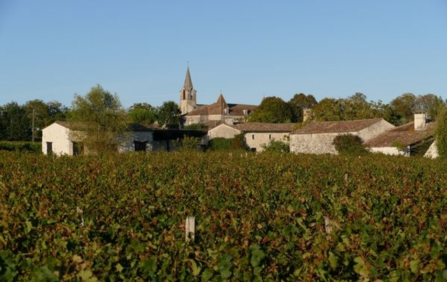 Vineyard biodiversity tour & Wine tasting (per person) - Visite agroécologie et Dégustation