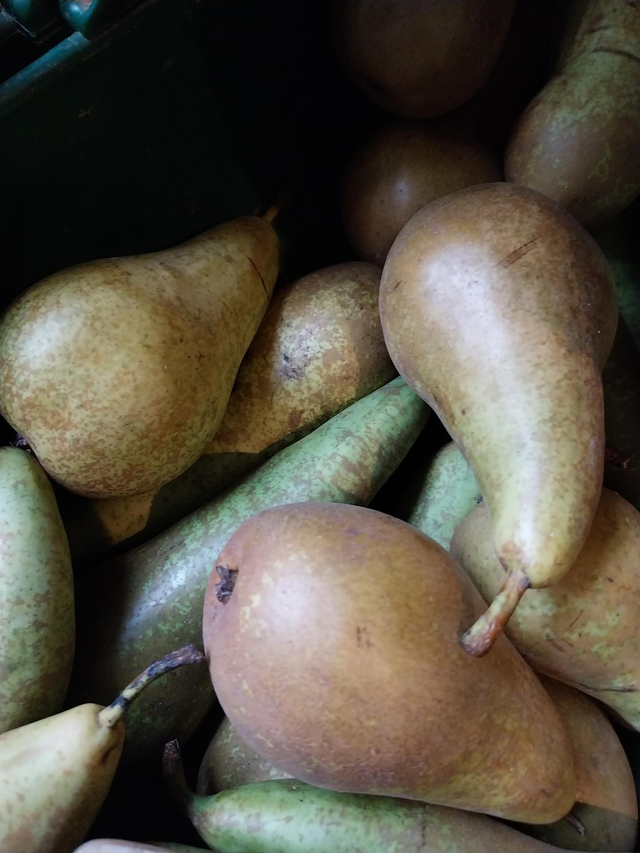 Pear Conference large 