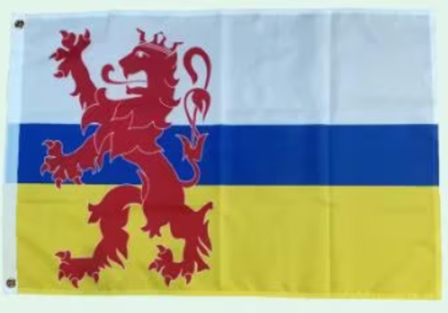 Grote vlag Limburg (150x90cm)