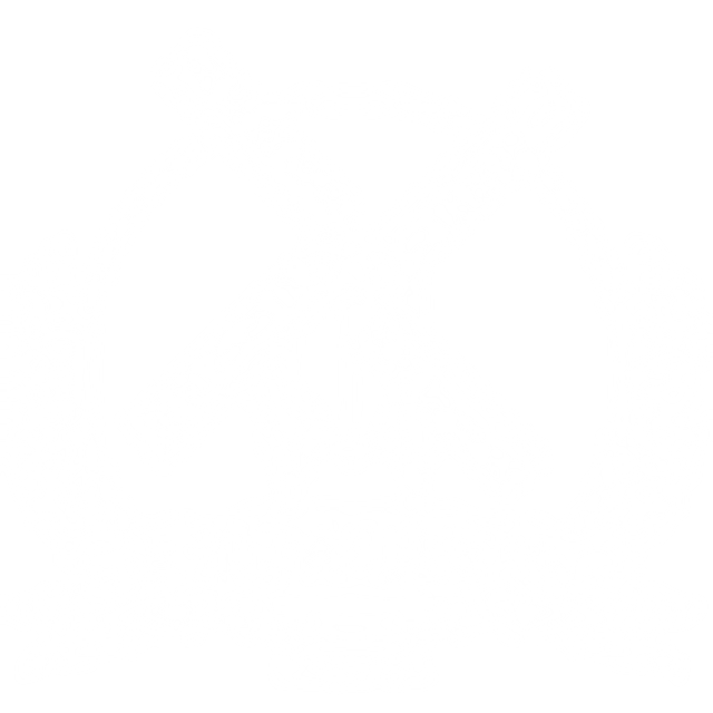 Nieuw Leven - Koolhydraadarmmeel