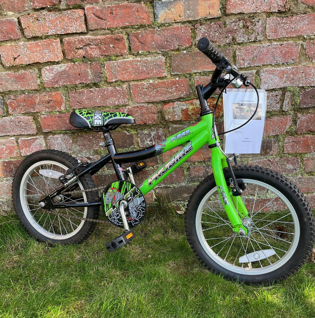 Probike T-Rex 16