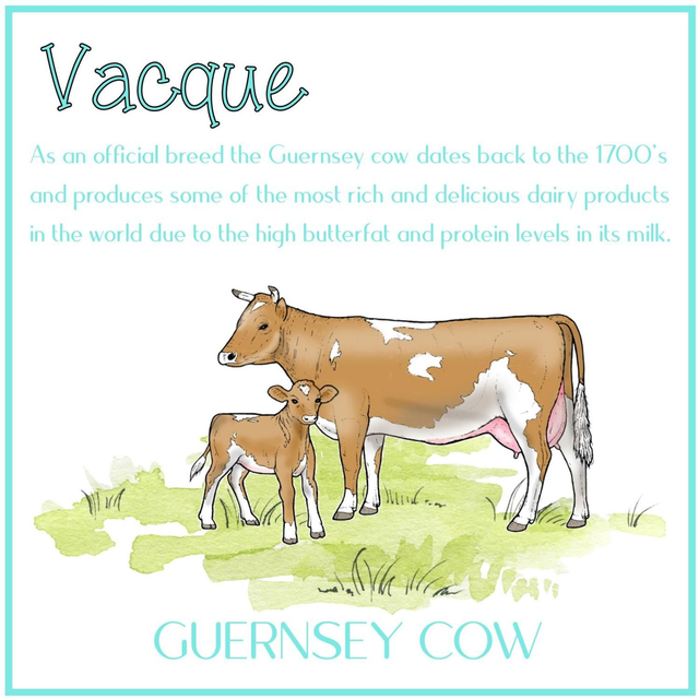 101 CARD PATOIS VACQUE