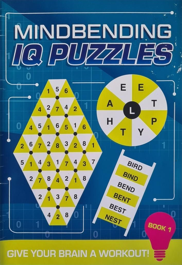 Mindbending IQ puzzles book 1