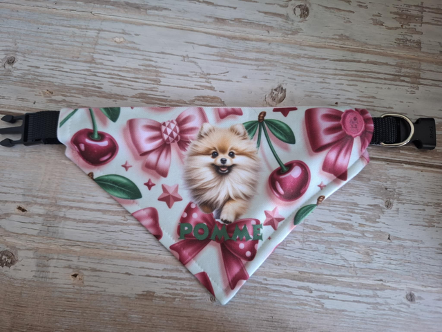 Bandana  Pomme personnalisable S au XL