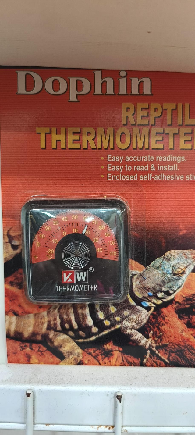 Termometro per terrario