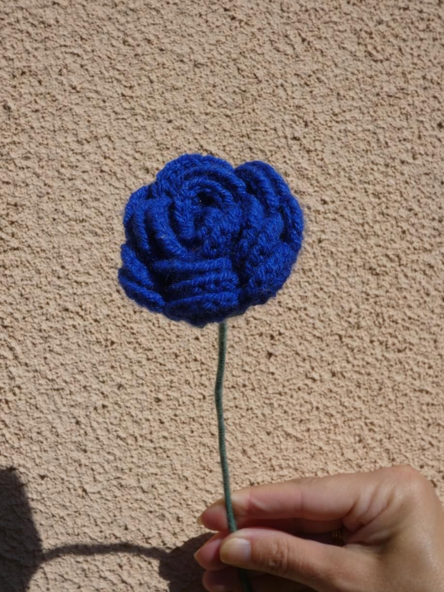 rose bleu foncé