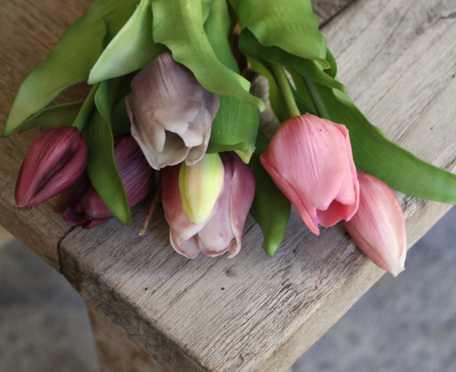 Tulpen mix Mauve (bos van 6) 31cm