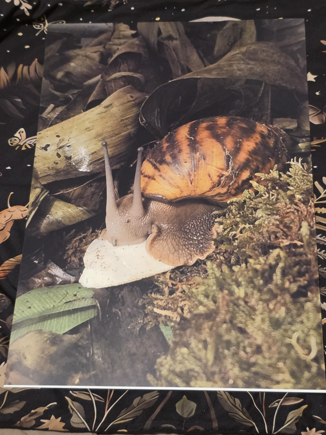 Affiche portrait format a3