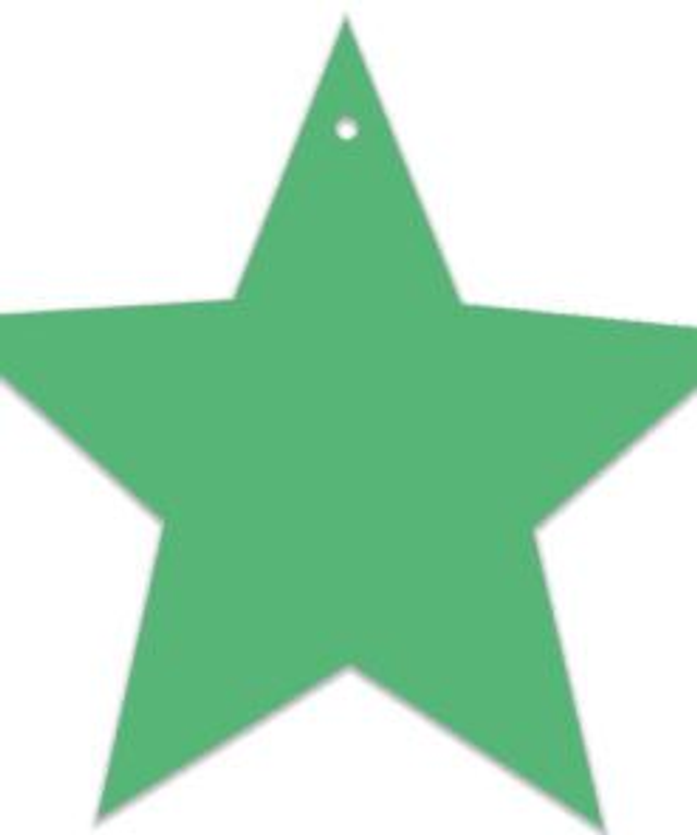 X 8 Green Star Gift Tags – GT03