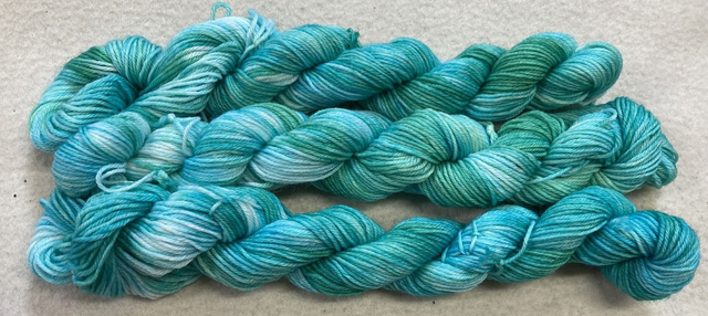 Limited Edition Merino/Nylon Mini Skein 6554
