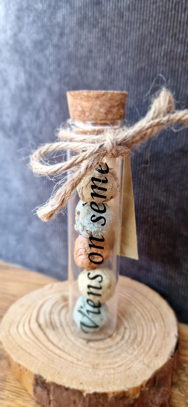 &quot;Viens on sème &quot; Bombes de graines 