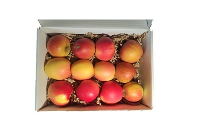 Dan's Apples - Real English Fruit Apple Selection Box