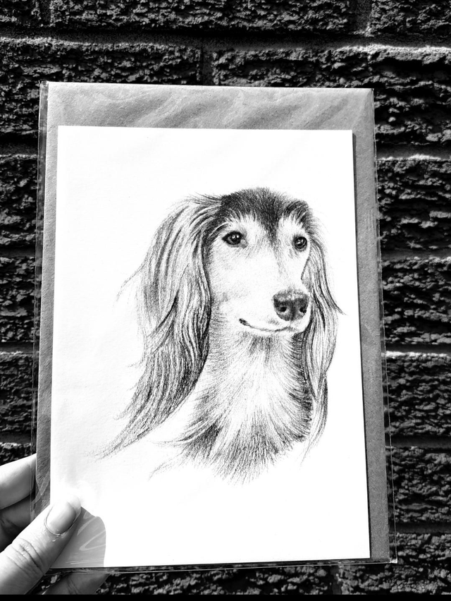 Saluki Greetings Card