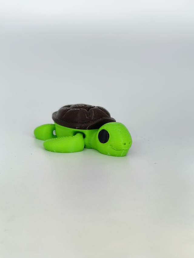 Flexi Turtle