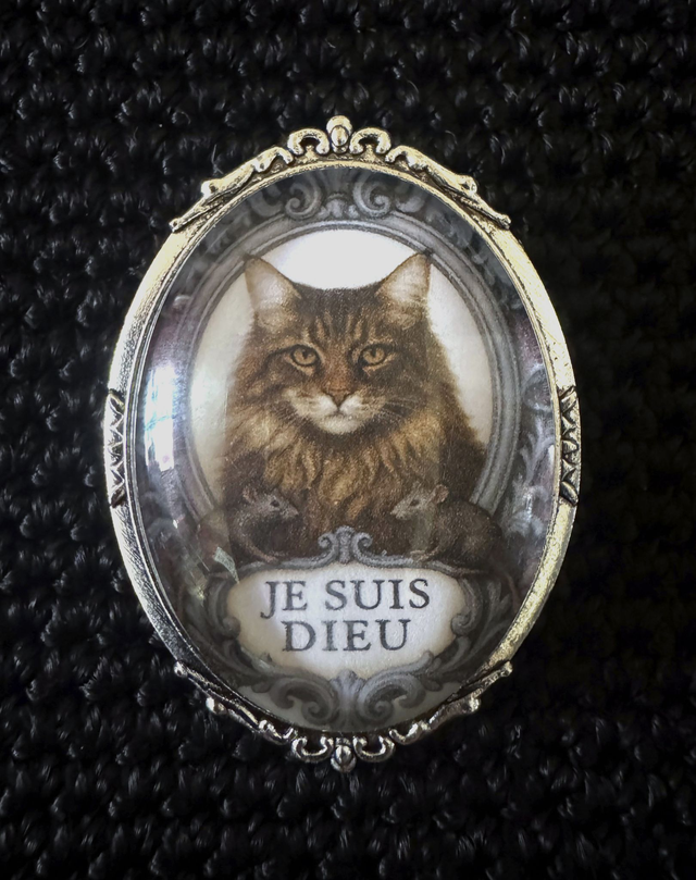 Broche chat Maine Coon