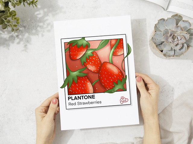A5 Red Strawberries Polaroid Art Print