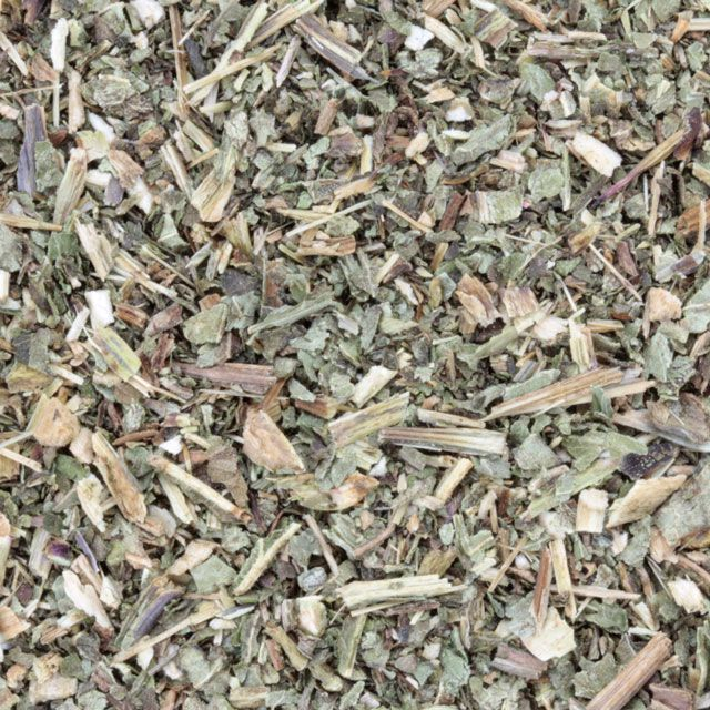 Echinacea Purpurea - BIO