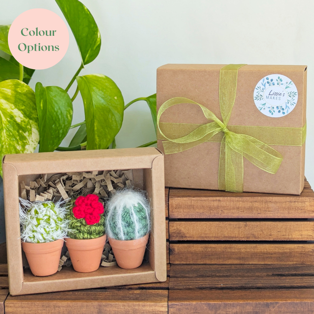 Set of Three Mini Crochet Cacti in Gift Box