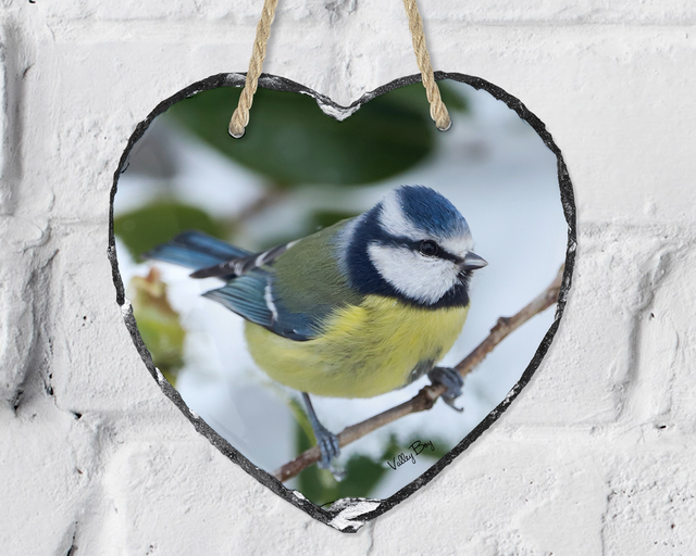 “Beatrice Blue tit in the snow” Heart Slate
