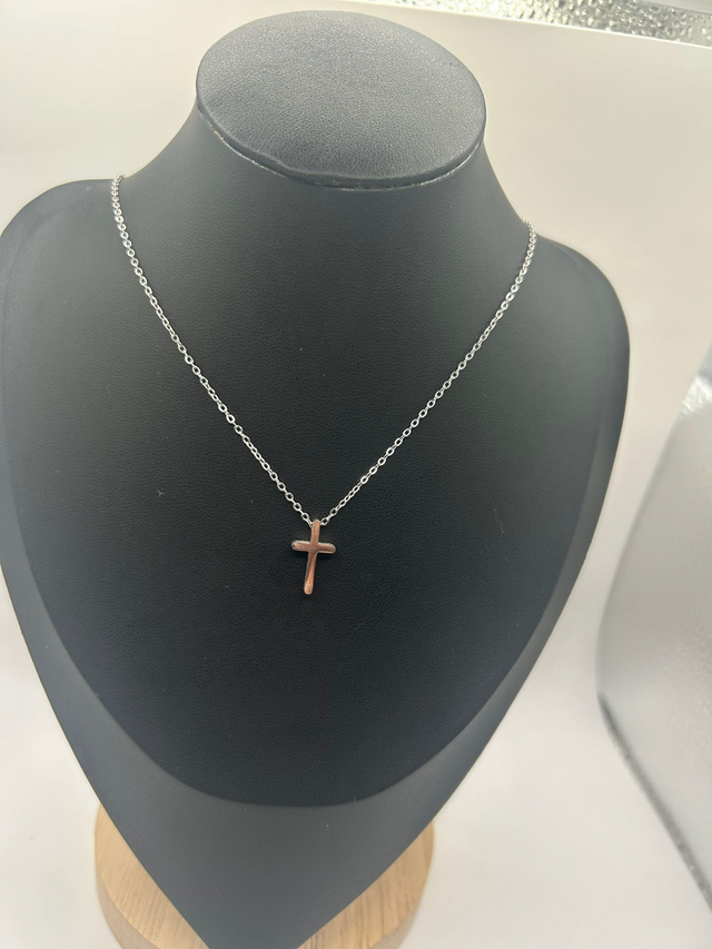 Stainless Steel Necklace (SSN96J)
