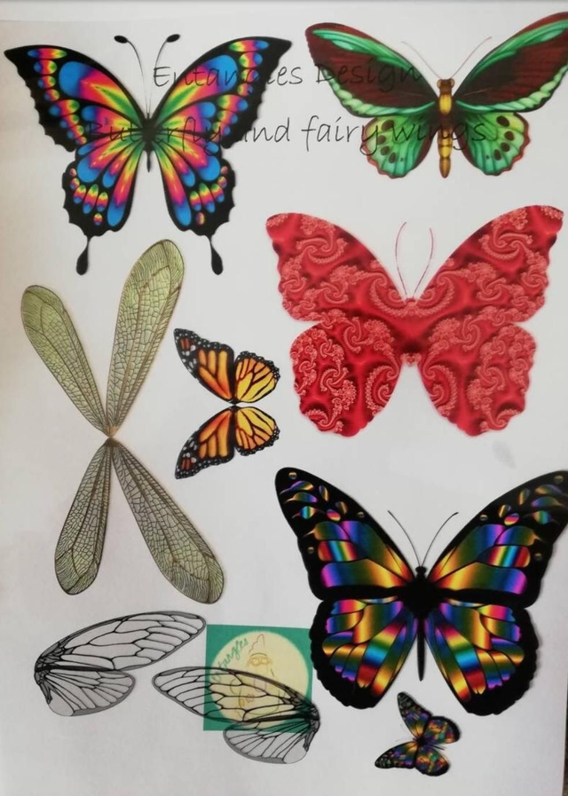  Acetate Fairy/Butterfly Wing Collage