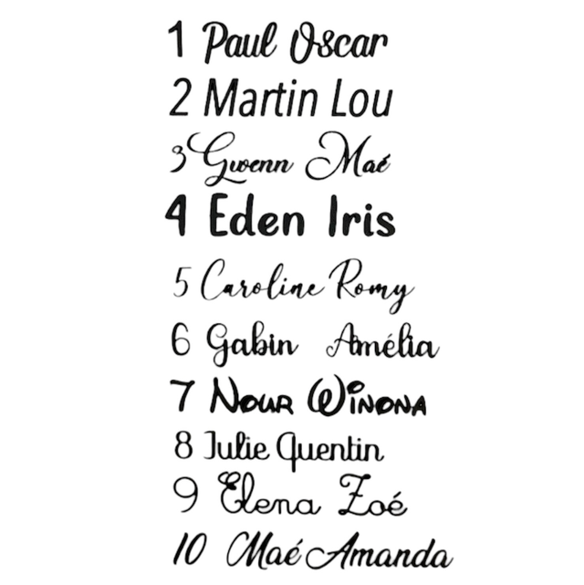 Protège carnet de santé prénom nature