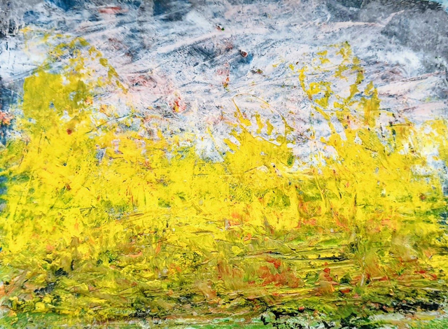 Breary Marsh Golden Acre Park Leeds