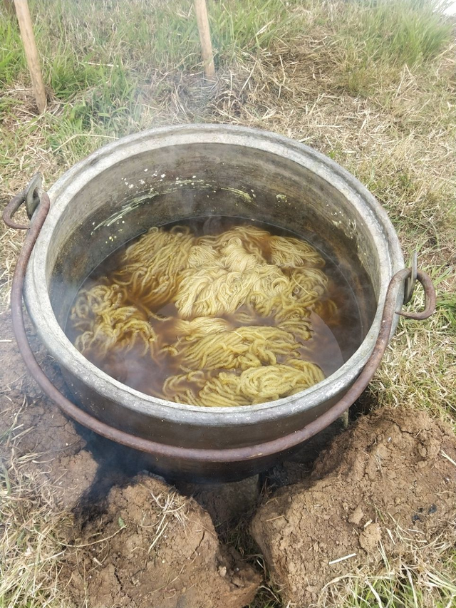 Initiation de la teinture végétale et naturel 3 jour 