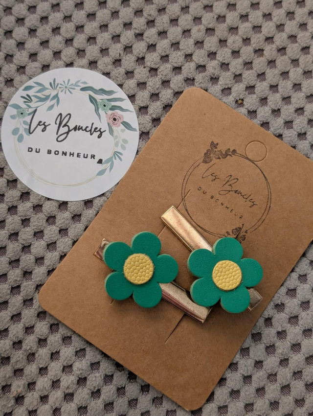 Barrette b070