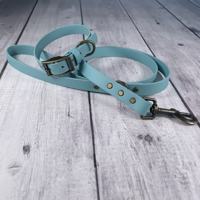 Dusty Turquoise Waterproof BioThane® Lead