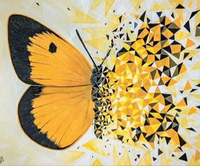 Corsi di Informatica vari livelli