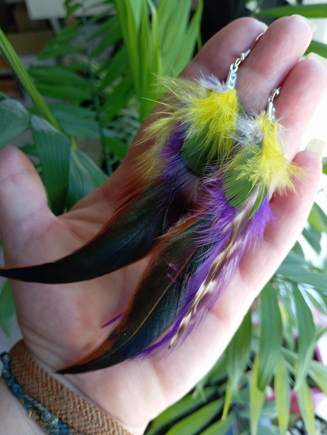 Boucles en plumes 