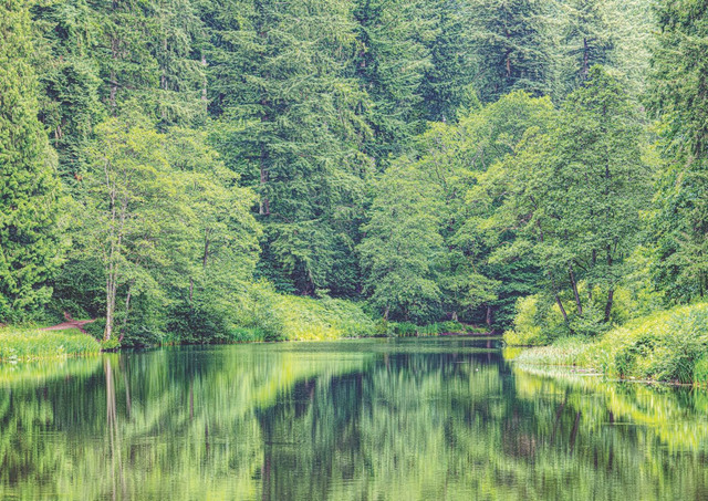 Soudley Ponds  FRAMED